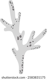 Flat vector illustration of a light grey lichen with dark grey spots growing on a white background, perfect for nature and biology projects