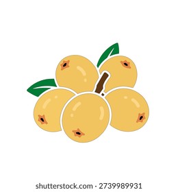 Flat vector illustration of longkong fruit cluster with green leaves, tropical organic food concept isolated on white background, fresh healthy exotic fruit design