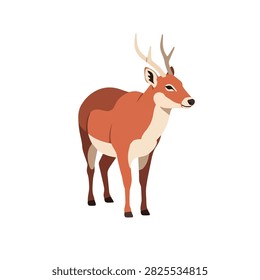 Flat Vector Illustration of a Majestic Brown Deer Buck with Antlers Isolated on White Background