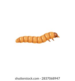 Flat vector illustration of a mealworm larva isolated on a white background