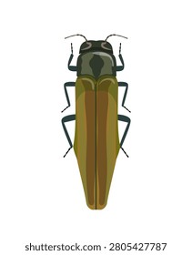 Flat vector illustration of a metallic green and gold jewel beetle insect isolated on white background.