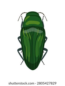Flat vector illustration of a metallic green jewel beetle insect isolated on white background.