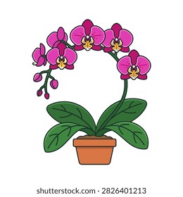 A flat vector illustration of a moth orchid flower with green leaves.