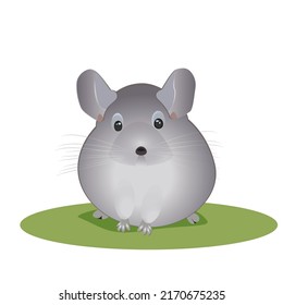 Ilustración vectorial plana de chinchilla de color gris naturalista con gradientes