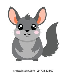 Flat vector illustration of naturalistic gray color chinchilla 