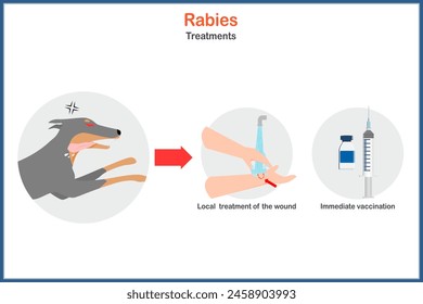 Flat vector illustration on rabies treatment concept. Wash the wound with water and vaccinations