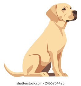 Flache Vektorillustration auf weißem Hintergrund. Labrador Retriever Hund sitzend 