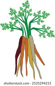 Ilustración vectorial plana de zanahorias de naranja