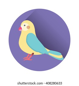 Flat vector illustration of parrot bird. Cartoon festive element for design, object on blue circle with long shadow. Isolated on white background. 