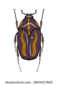 Flat vector illustration of a patterned flower chafer beetle cetoniinae isolated on white background.