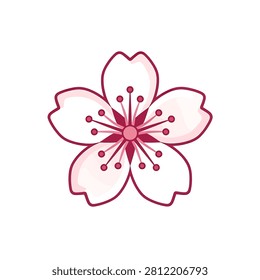 A flat vector illustration of a pink cherry blossom flower with five petals and detailed stamens centered on a white background.