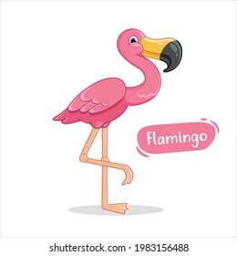 Flat vector illustration of pink cute flamingo in cartoon style  