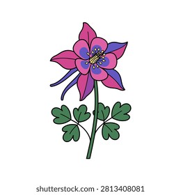 A flat vector illustration of a pink and purple columbine flower.