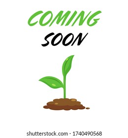 Flat vector illustration planting tree. Seedling gardening plant. Seeds sprout in ground. Growing, agriculture icons with text coming soon ,environment concept