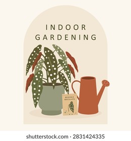 Flat vector illustration of a potted Begonia Maculata polka dot plant with watering can and seed packet indoor gardening.