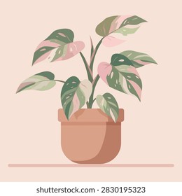 Flat vector illustration of a potted variegated Philodendron Pink Princess houseplant with pink and green variegated leaves.