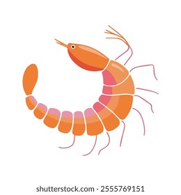 Flat vector illustration of a prawn with smooth, curving orange-pink body, minimal lines for legs and antennae, modern simple design, white background