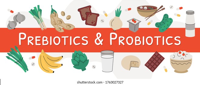Flat vector illustration of probiotic and prebiotic products. Sources of these bacteria is nutrient rich food such as soy beans, asparagus, onion, artichoke, cheese, kefir, sour cream, milk, pickles
