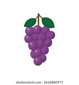 Ilustración vectorial plana de un racimo de uva púrpura con hojas verdes y tallo marrón. Estilo de dibujos animados limpio, ideal para diseños de alimentos o vinos.