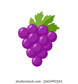 Flache Vektorgrafik von violetten Trauben mit grünem Blatt