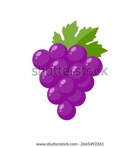 Flat vector illustration of purple grapes with a green leaf