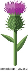 Flat Vector Illustration of a Purple Thistle Flower Isolated