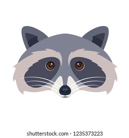 Flat vector illustration of racoon head. 
