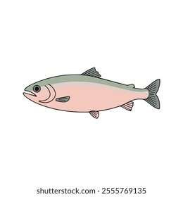 Flat vector illustration of rainbow trout with pastel pink body, greenish-blue gradient, streamlined fins, minimalistic design, modern aesthetic