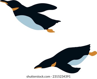 Flat vector illustration of realistic penguin