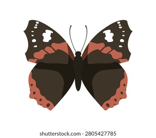 Flat vector illustration of a red admiral vanessa atalanta butterfly insect isolated on white background.