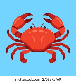 Flat vector illustration of red crab in cute cartoon style, representing marine life, seafood, ocean animal, and coastal nature concept.