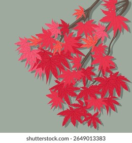 Flat vector illustration with red japanese leaves in autumn, seasonal  outdoor abstract background