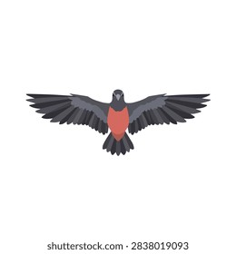Flat vector illustration of a red-breasted bird flying with outstretched wings on white background