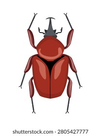 Flat vector illustration of a reddish brown rhinoceros horn beetle insect isolated on white background.