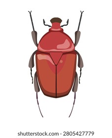 Flat vector illustration of a reddish brown flower chafer beetle isolated on white background.