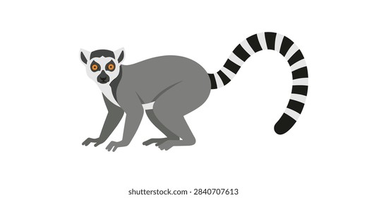 A flat vector illustration of a ring-tailed lemur standing against a plain white background.