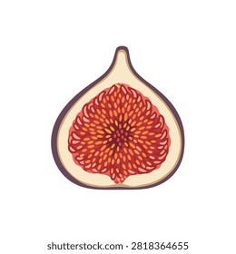 Flat vector illustration of a ripe fig fruit sliced in half showing interior seeds and red pulp