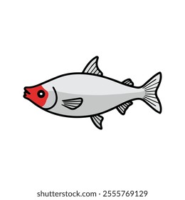 Flat vector illustration of a Rummy Nose Tetra with silver body, red nose, simple fins, minimal design, clean aesthetic