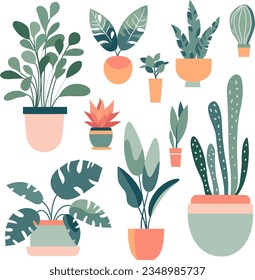 Flat vector illustration in Scandinavian style. Collection of home flowers in pots on white background . Vector illustration