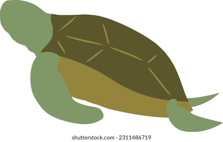 Flat vector illustration of sea turtle