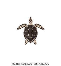 Flat vector illustration of a sea turtle shell top view isolated on white background