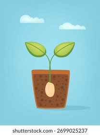Ilustración vectorial plana de un brote de semilla que crece en la tierra dentro de una maceta con fondo celeste brillante. Hojas verdes y suelo marrón rico, que simboliza el crecimiento, la agricultura. Para la jardinería ecológica