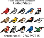 Flat Vector Illustration Set of Common Feeder Birds of the Southeastern United States Isolated on White Background