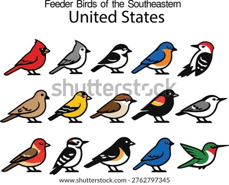Flat Vector Illustration Set of Common Feeder Birds of the Southeastern United States Isolated on White Background