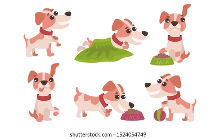 Flat Vector Illustration Set With Jack Russell Terrier Daily Activity