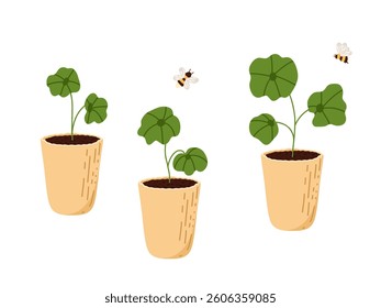 Flat vector illustration set of organic plant seedling. Flower sprout growing in pots isolated on white background. Home gardening hand drawn art