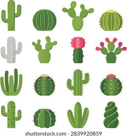 Flat vector illustration set of various desert cactus and succulent species with flowers and prickles isolated on white background.