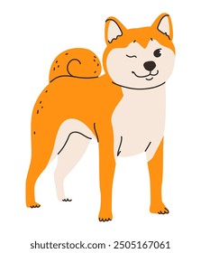 Ilustración vectorial plana de un perro Shiba Inu. La apariencia de zorro de la raza y el pelaje rojo esponjoso.