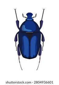 Flat vector illustration of a shiny blue flower chafer beetle isolated on white background.