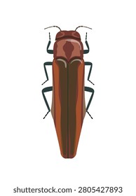 Flat vector illustration of a shiny bronze and brown jewel beetle insect isolated on white background.